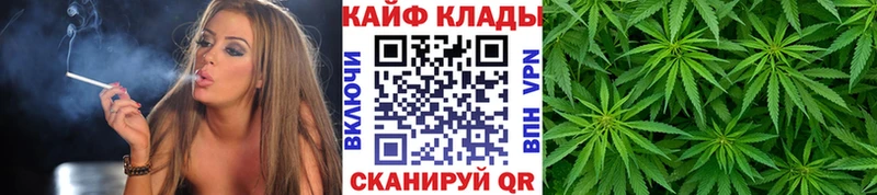 Псилоцибиновые грибы Новопавловск